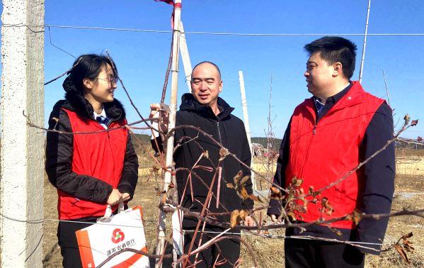 农商银行工作人员实地了解农户种植情况_副本