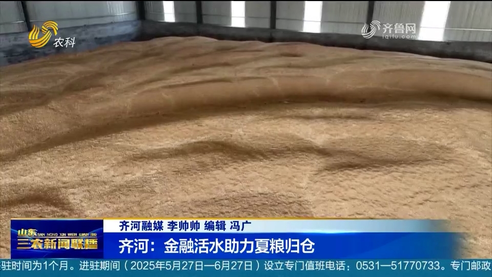 齐河农商银行：金融活水助力夏粮归仓